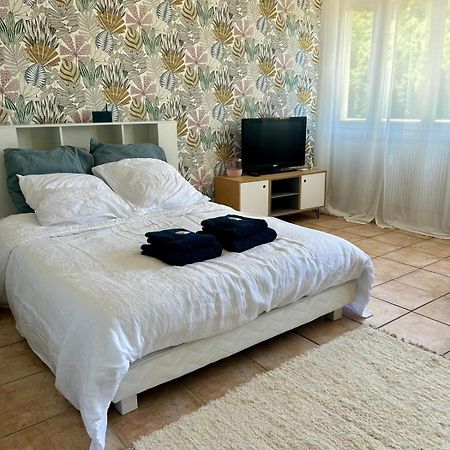 Studio Cosy De 30 M2 Au Coeur Des Thermes Royat Eksteriør billede